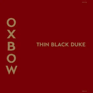 Thin black duke